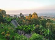 6 Destinasi Wisata di Jember: Pantai, Gunung Hingga Kebun Teh
