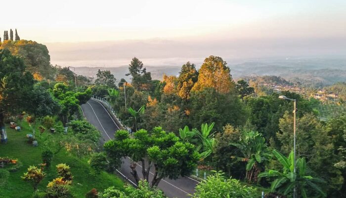6 Destinasi Wisata di Jember: Pantai, Gunung Hingga Kebun Teh