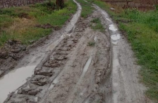 Ironis, 8 Triliun APBD Pemerintah Bojonegoro Jalan Daerah Ini Tak Tersentuh