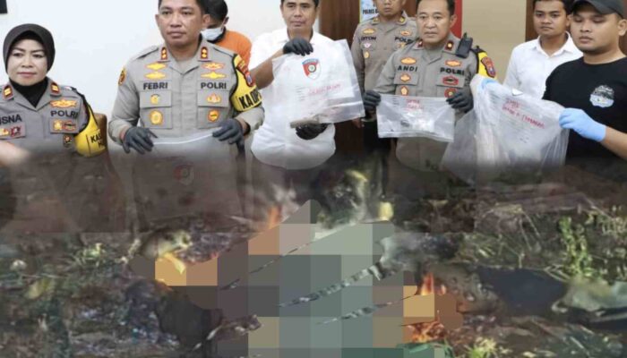 Sadis, Perempuan Warga Desa Banjar Ini Dibacok Lalu Dibakar