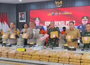 Jaringan Narkoba Lintas Provinsi Dibongkar, 166,58 Kg Ganja Disita, 6 Tersangka Ditangkap