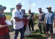 Tradisi Methil di Lahan Desa Pojoksari Magetan yang Tembus 8 Ton Per Ha