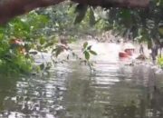 Kisah Pilu Calon Pengantin Jombang Tenggelam di Sungai