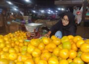 DPD IKAPPI Mojokerto Raya: Kenaikan PPN 12% Ancam Daya Beli dan Stabilitas Ekonomi Rakyat