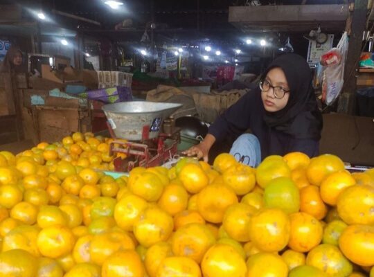 DPD IKAPPI Mojokerto Raya: Kenaikan PPN 12% Ancam Daya Beli dan Stabilitas Ekonomi Rakyat