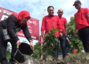 Peduli Kebutuhan Pangan, DPC PDIP Jombang Gelar Tanam Ratusan Bibit Buah Bersama