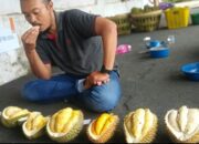 Ramai-Ramai “Belah Duren”, Jadi Momen Kebersamaan Warga
