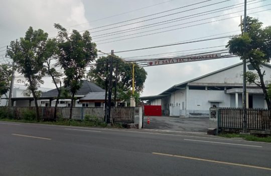 pengolahan tembakau