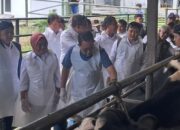Pemprov Jatim Alokasikan Ribuan Vaksin Cegah Penyebaran PMK