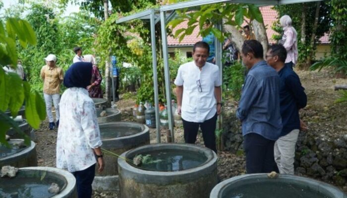 Pemkab Bojonegoro Bangun Buis Beton Lele Konsumsi Untuk KK Prasejahtera