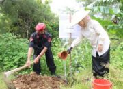 Peringati HUT PDIP ke-52, Wabup dan Kader Tanam Pohon di Pantai Modangan