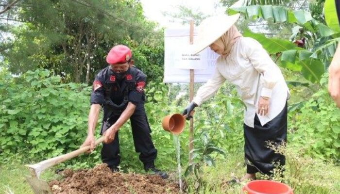 Peringati HUT PDIP ke-52, Wabup dan Kader Tanam Pohon di Pantai Modangan