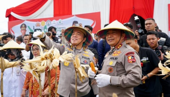 Irwasum Polri Pimpin Panen Jagung Serentak di Madiun, Wujudkan Asta Cita