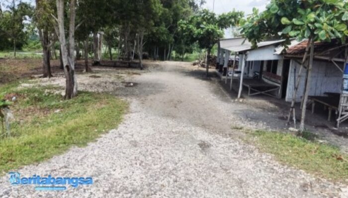 Dugaan Pungli Oknum Kades Kepanjen kepada Pengusaha Tambak Udang