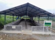 Program DT Peduli di Sumbermujur Lumajang Gagal