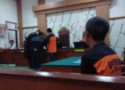 Misteri Lahan Ganja di Lumajang: Siapa Dalangnya?