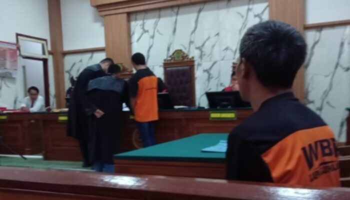 Misteri Lahan Ganja di Lumajang: Siapa Dalangnya?