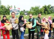 Polres Madiun Kota Panen Raya Jagung, Sukses Dukung Ketahanan Pangan Nasional
