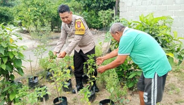 Bhabinkamtibmas Polres Magetan Ajak Warga Manfaatkan Pekarangan