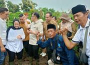 Petani Desa Nglopang Sumringah, Panen Raya Cabai Dihadiri Pemerintah Pusat
