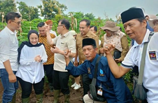 Petani Desa Nglopang