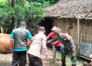 Polres Ngawi Dampingi Vaksinasi Ternak Sapi untuk Cegah PMK di Widodaren