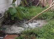 Pabrik Mi Soun CV Bintang Indo Jaya Tulungagung Tak Kantongi IPAL dan WWTP