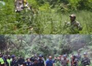 Netizen Hujat Penanganan Kasus Ladang Ganja di TNBTS