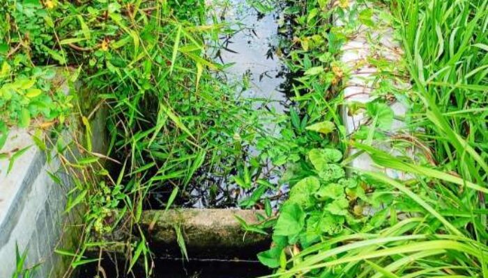 DLH Kabupaten Tulungagung Tutup Mata Terkait IPAL Tak Sesuai Standart