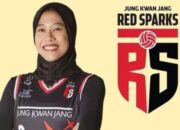 Red Sparks dan Megawati: Sebuah Epik Ketangguhan di Liga Voli Korea