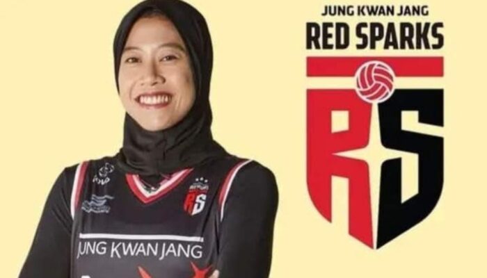 Red Sparks dan Megawati: Sebuah Epik Ketangguhan di Liga Voli Korea