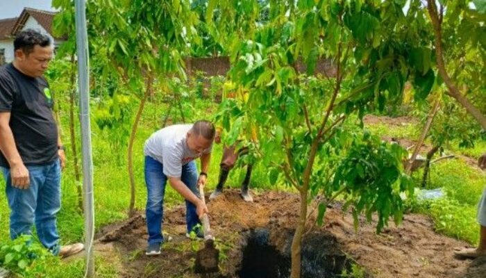 Koperasi Subasu Blitar Ajak Petani Beralih ke Teknik Moderen, Tanam Kelengkeng Thailand