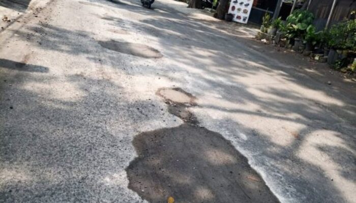 DPUTR Lumajang Perbaiki Jalan Aspal dengan Semen, Picu Kontroversi