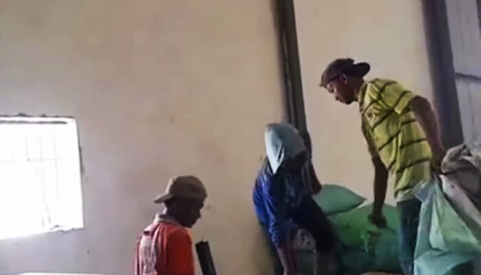 Bulog Lumajang Akui Tak Bisa Serap 100 Persen Gabah Petani