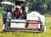DKPP Lumajang Dorong Akui Terkendala Kekurangan Alsintan