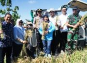 Kabupaten Magetan Satu dari 14 Provinsi Ikuti Panen Raya Bersama Presiden
