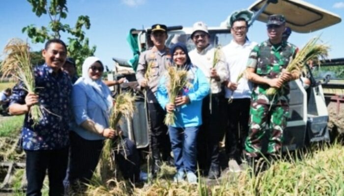 Kabupaten Magetan Satu dari 14 Provinsi Ikuti Panen Raya Bersama Presiden