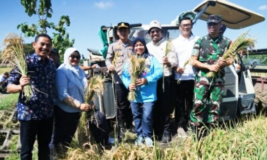 Panen Raya