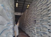 Gudang Penyimpanan Beras Hampir Penuh Bulog Bojonegoro Cari Tempat Tambahan