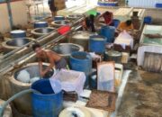 Tarif Trump Jepit Supplier Kedelai dan Perajin Tahu di Jombang