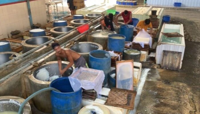 Tarif Trump Jepit Supplier Kedelai dan Perajin Tahu di Jombang