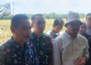Ketua DPRD Magetan Hadiri Panen Raya di Desa Bayem Wetan Kartoharjo