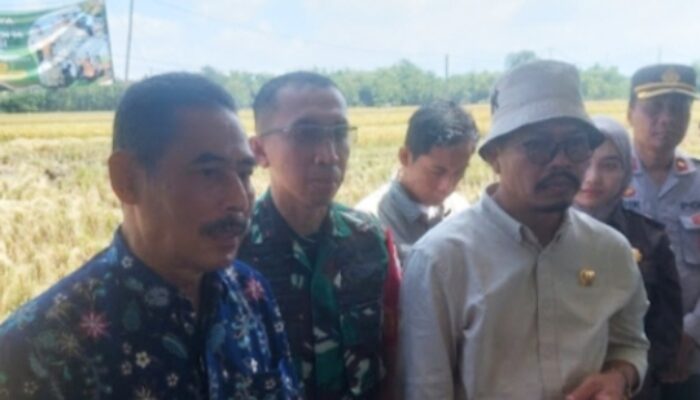 Ketua DPRD Magetan Hadiri Panen Raya di Desa Bayem Wetan Kartoharjo