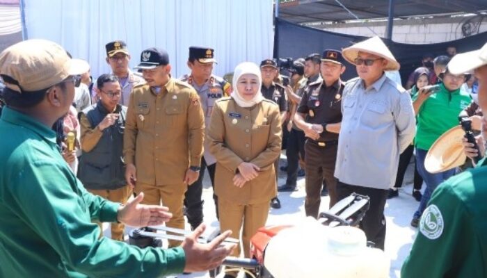 Kapolda dan Forkopimda Jatim Panen Raya Padi di Ngawi