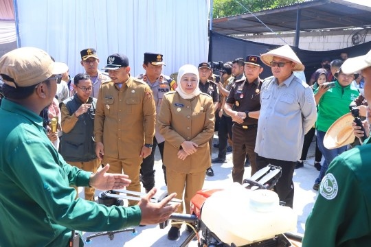 Panen Raya padi