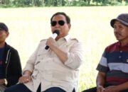 Prabowo