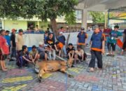 Hari Raya Idul Adha 2025 Versi Muhamadiyah dan Pemerintah