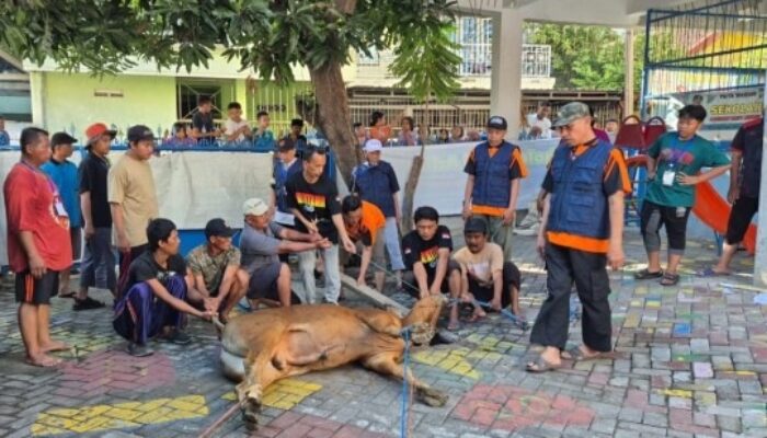 Hari Raya Idul Adha 2025 Versi Muhamadiyah dan Pemerintah