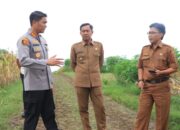 Dukung Ketahanan Pangan, Kapolres Ngawi Cek Lahan Jagung Siap Panen