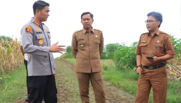 Dukung Ketahanan Pangan, Kapolres Ngawi Cek Lahan Jagung Siap Panen